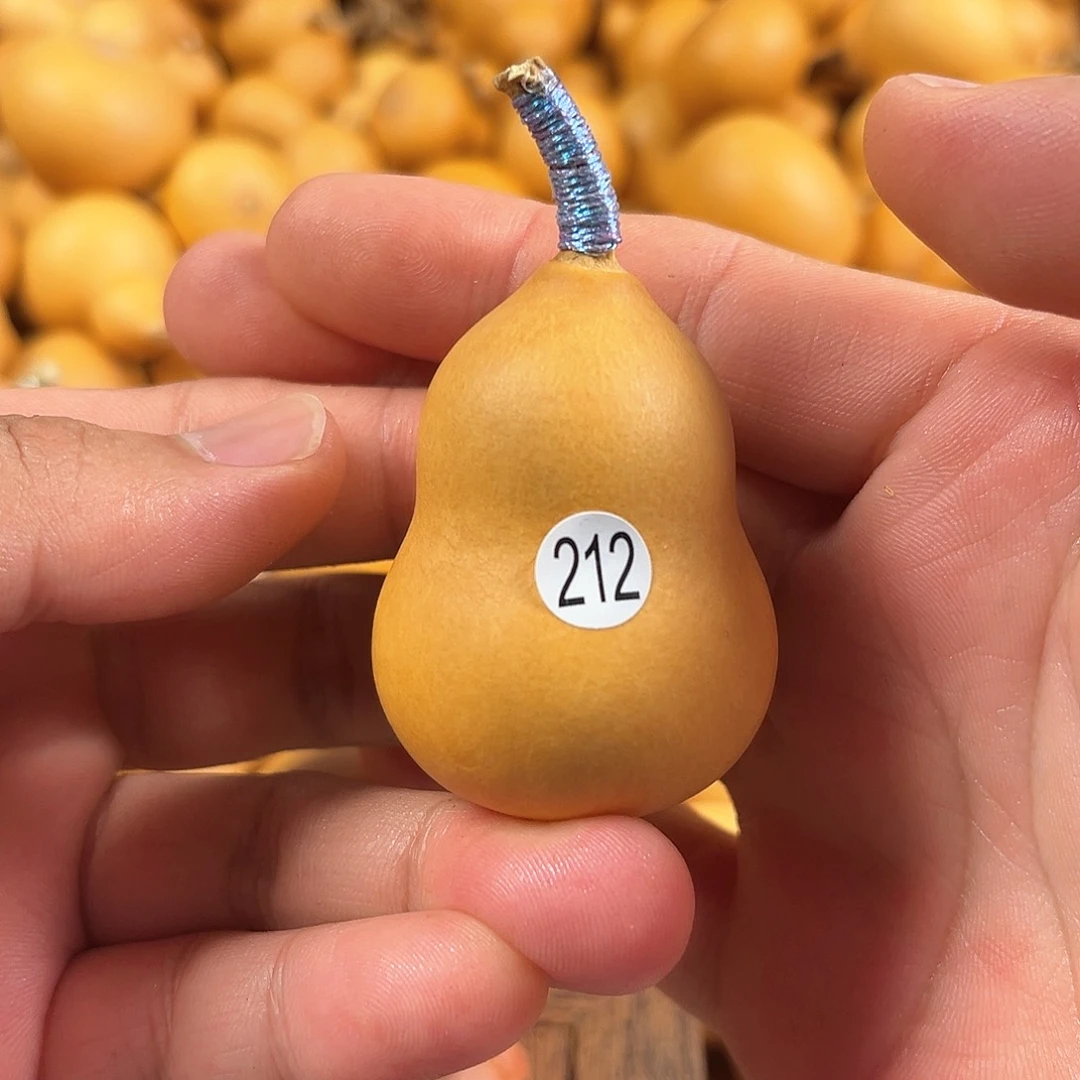 一葫芦葫芦葫芦葫芦212