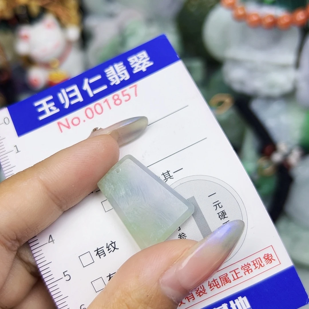翡翠未镶嵌吊坠(不含链)111