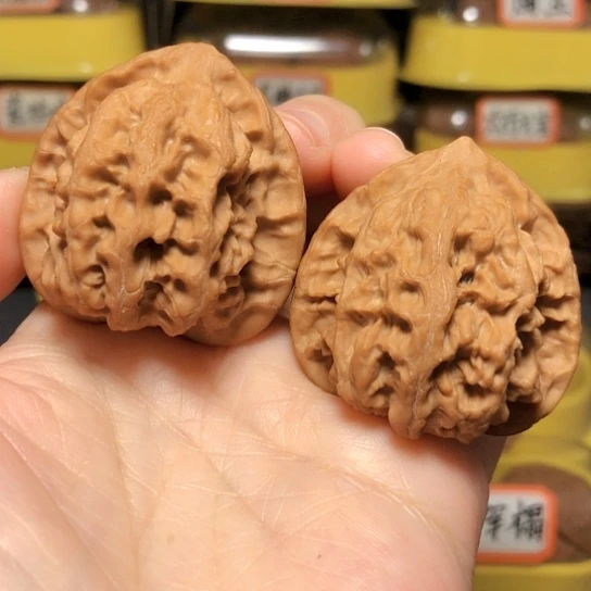 精品野生梨木台全品