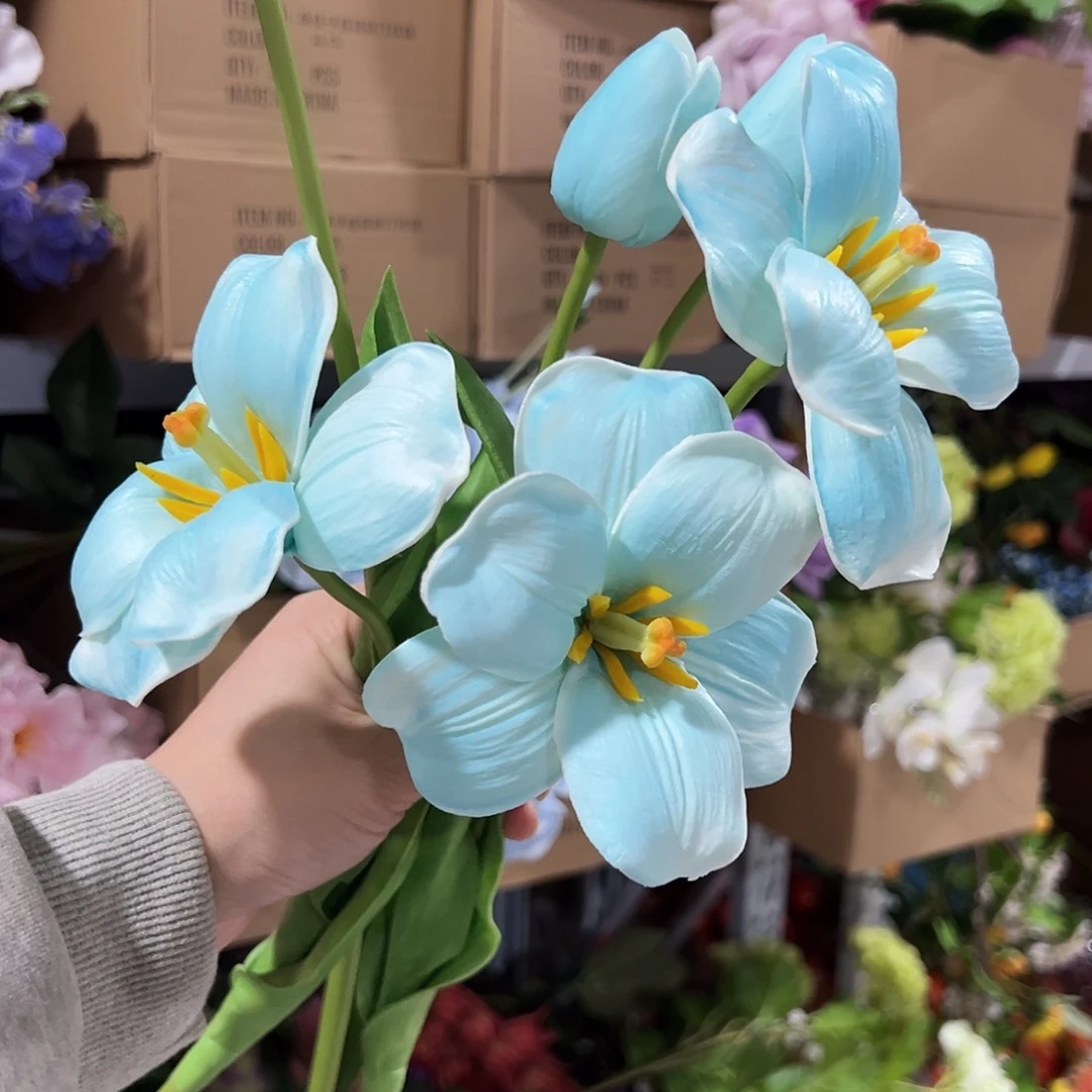 3枝混色2头布朗尼郁金香