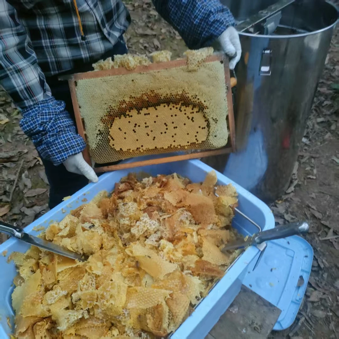 岭南鸭脚木野桂花中蜂口粮 喂蜂养蜂用百花冬蜜