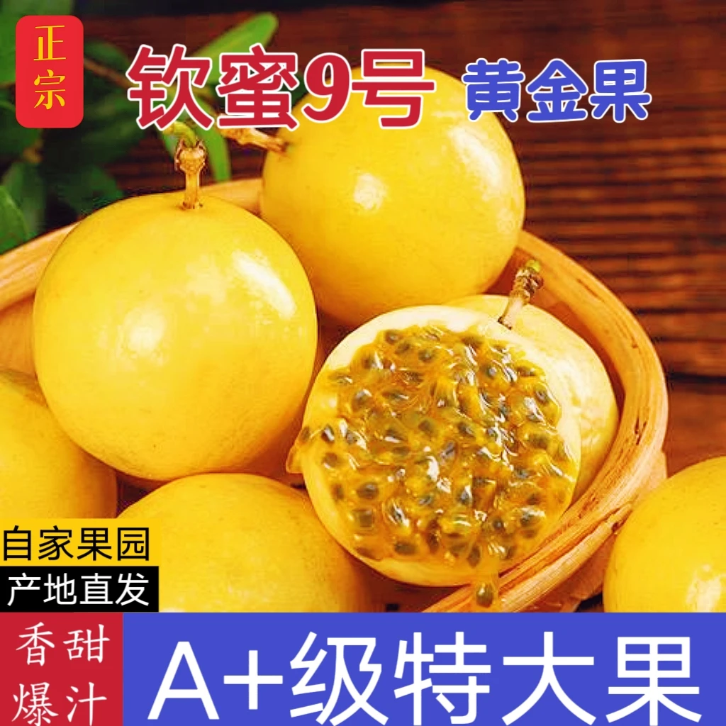 广西钦蜜9号百香果新鲜当季水果香甜多汁产地直发
