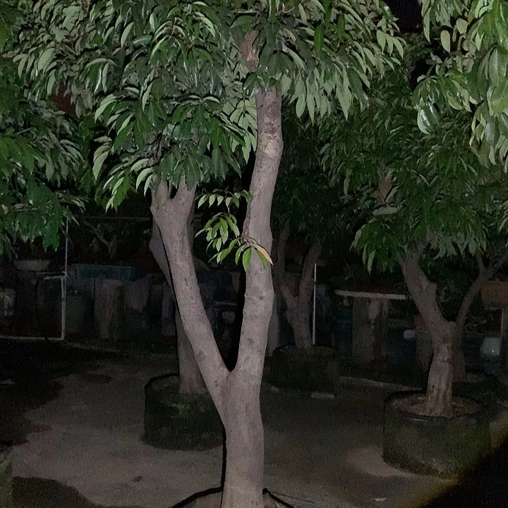 三***帅完全开放468844796689646975897