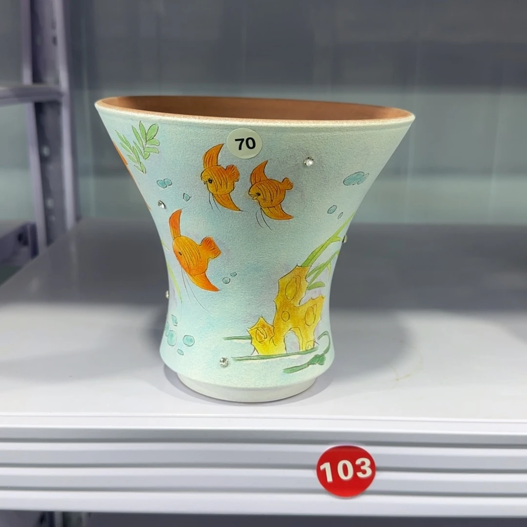 红陶苏*?田小姐多肉花盆