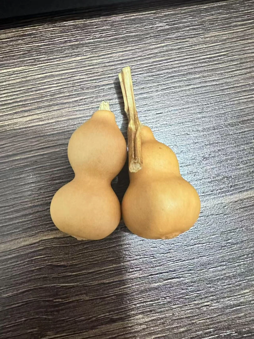 精品小美葫芦啊啊