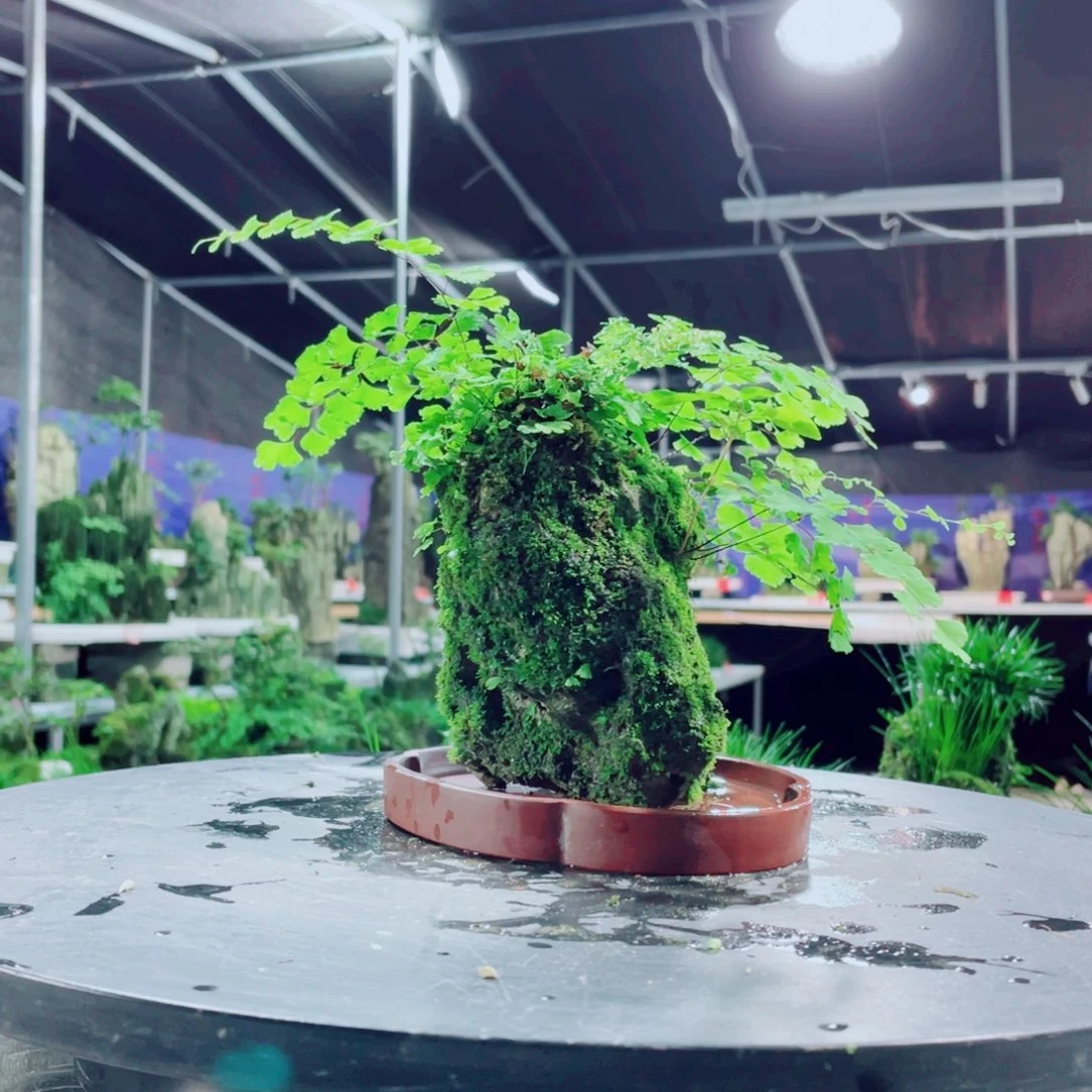 3***哥无花朵你也别管别人说了什么