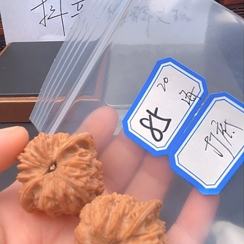 文玩核桃吊坠海****措流星雨