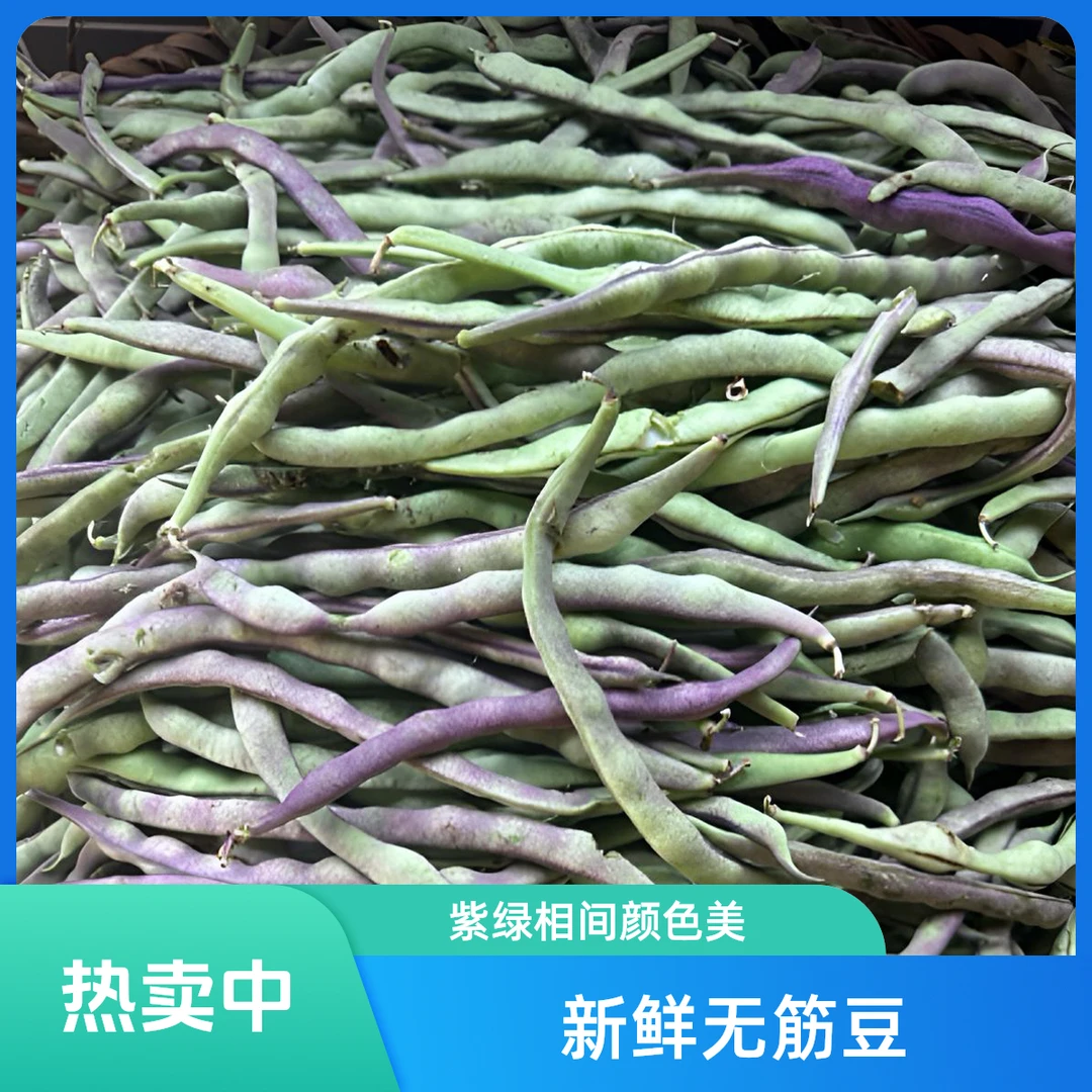 四川达州本地新鲜四季豆晚熟豆角现摘豆角