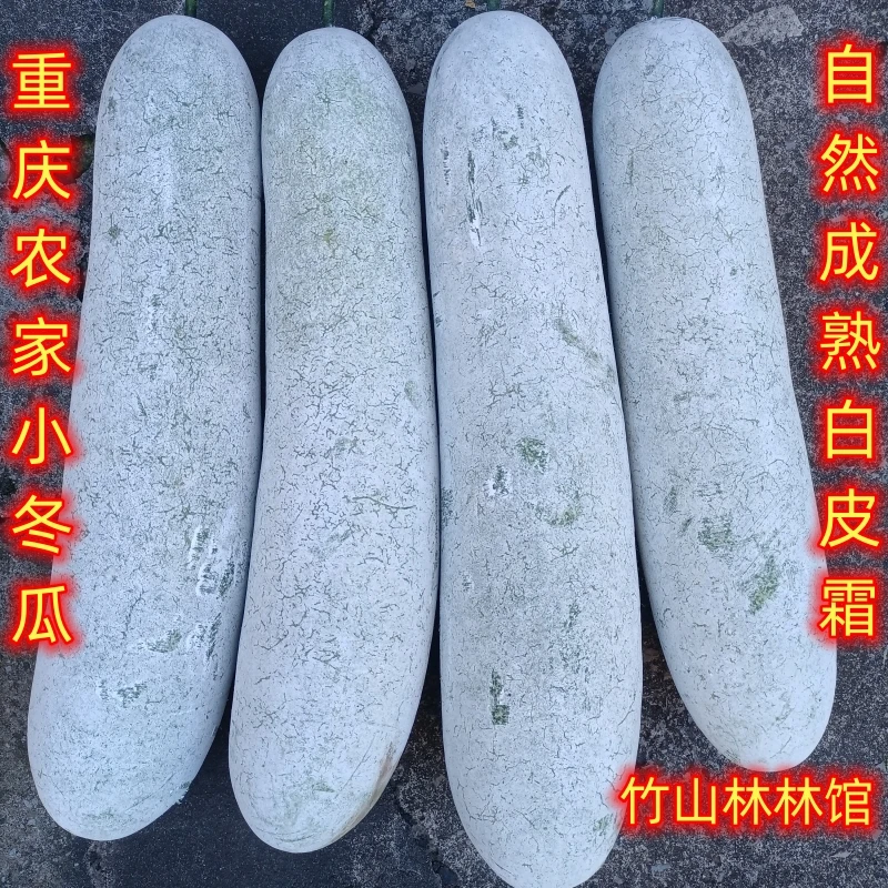 大冬瓜新鲜重庆小冬瓜白冬瓜整个小冬瓜青皮冬瓜大人小孩抱睡冬瓜