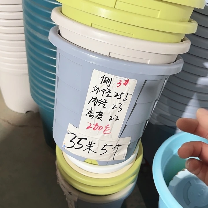 测26口径5个无托果绿