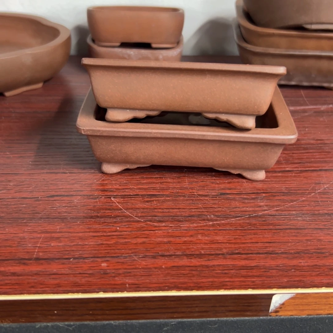 红陶?***]红红火火过大年962