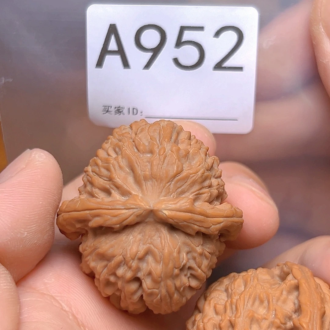文玩核桃吊坠39白狮子
