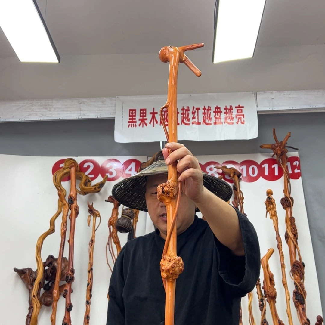 黑果木其他黑果木523