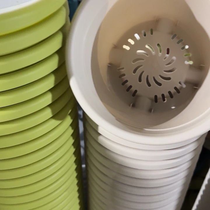 四季2号灰白无托10个