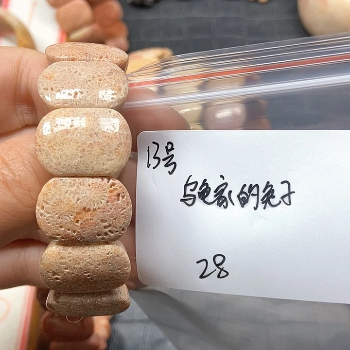 硅化珊瑚（珊瑚玉）手镯未镶嵌乌****子13