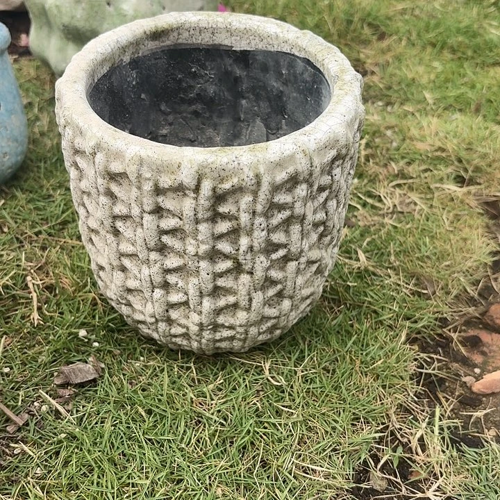许纯的花房 孤品009