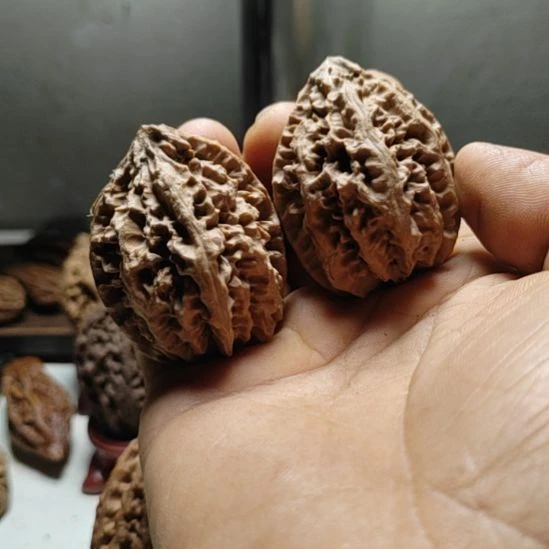 文玩核桃把件蚂蚁窝