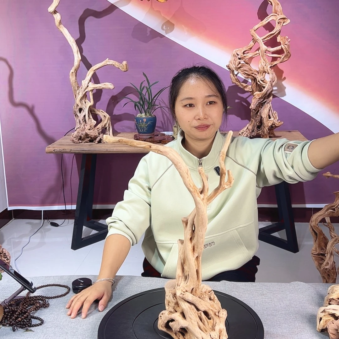 一***走木天然杜鹃根根艺摆件