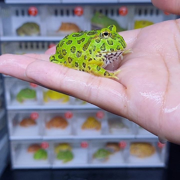 特价秒杀现货供应残