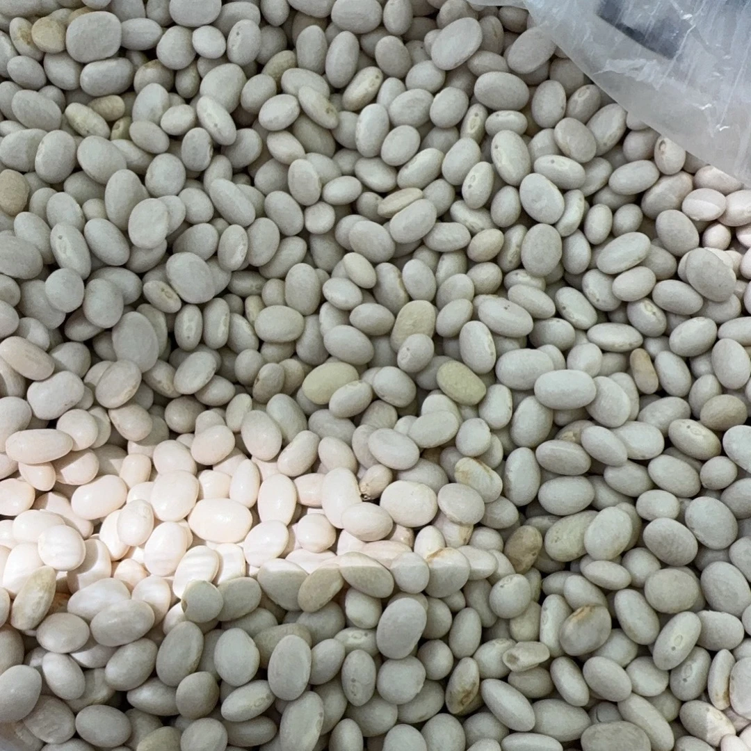 贵州农家小白金豆（陆安伟专属）