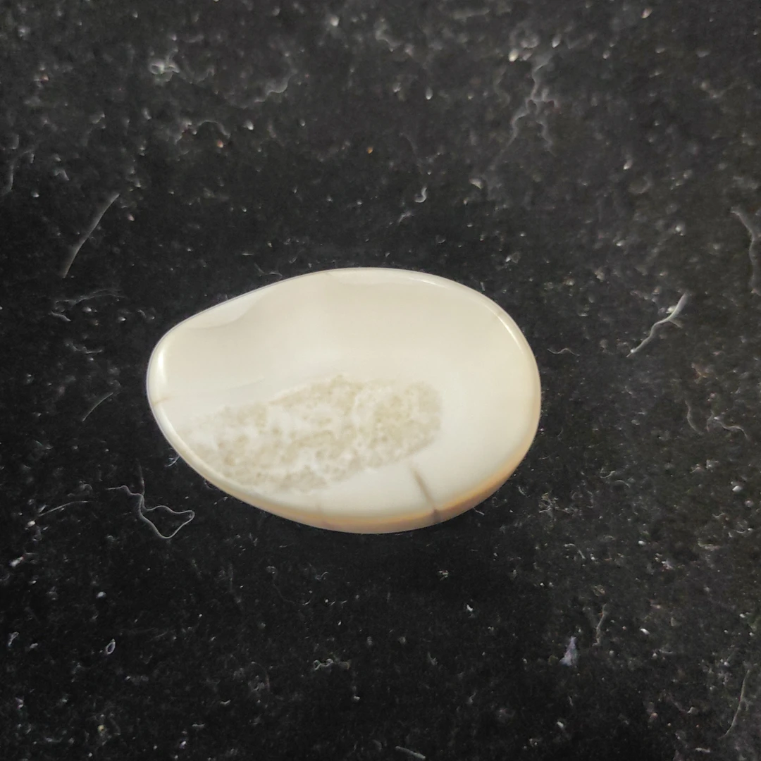 猛犸猛犸虬饼子WT434