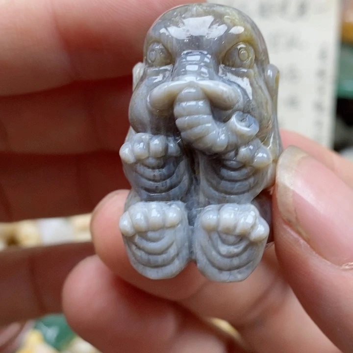硅化珊瑚（珊瑚玉）未镶嵌颈饰