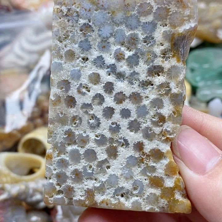 硅化珊瑚（珊瑚玉）未镶嵌颈饰