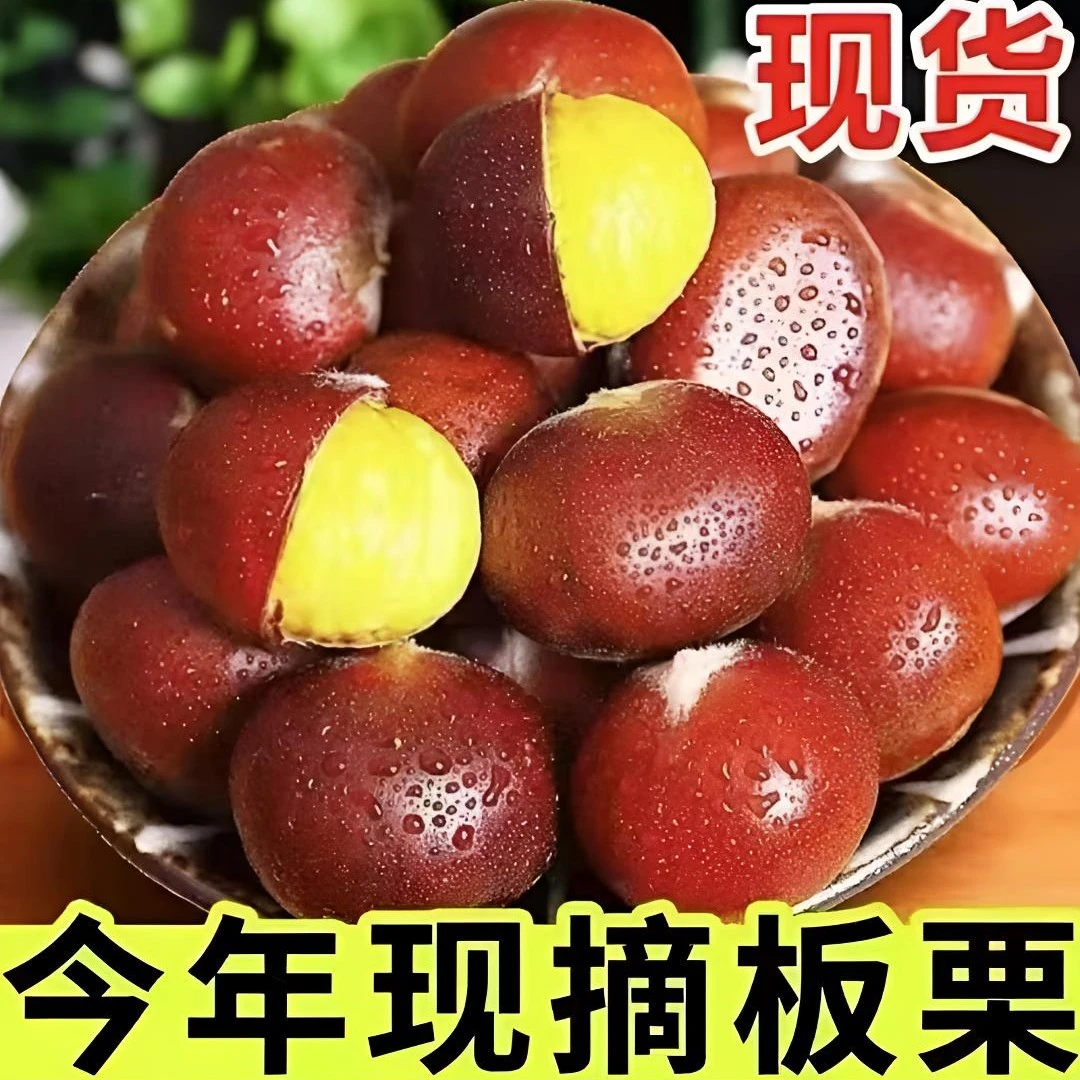 Ls【买3斤送2斤】高山老树新鲜板栗颗颗饱满香甜脆口香糯好剥皮