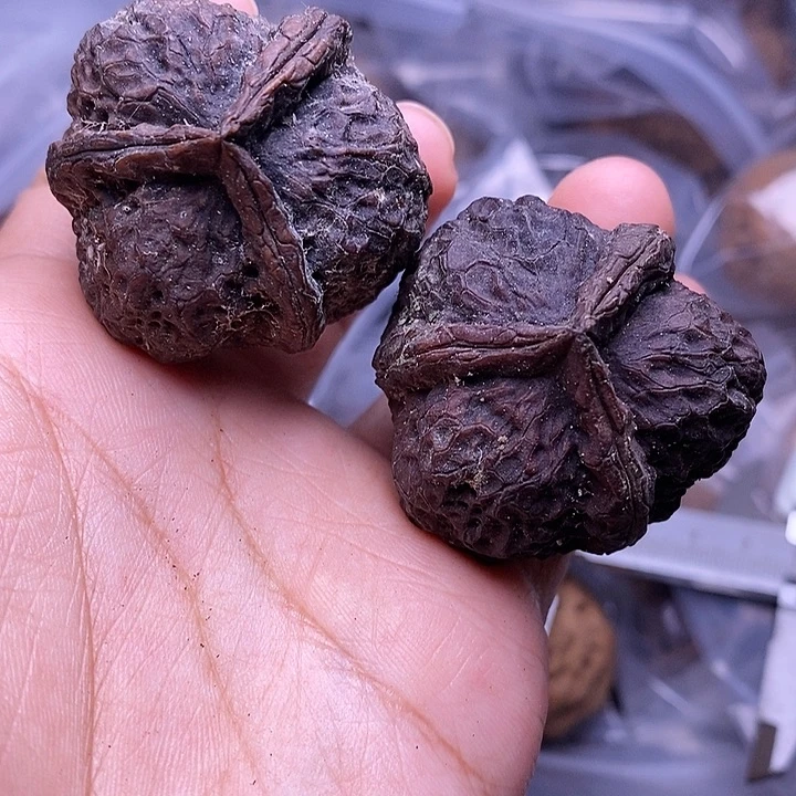 嗨***哎把件文玩核桃  14