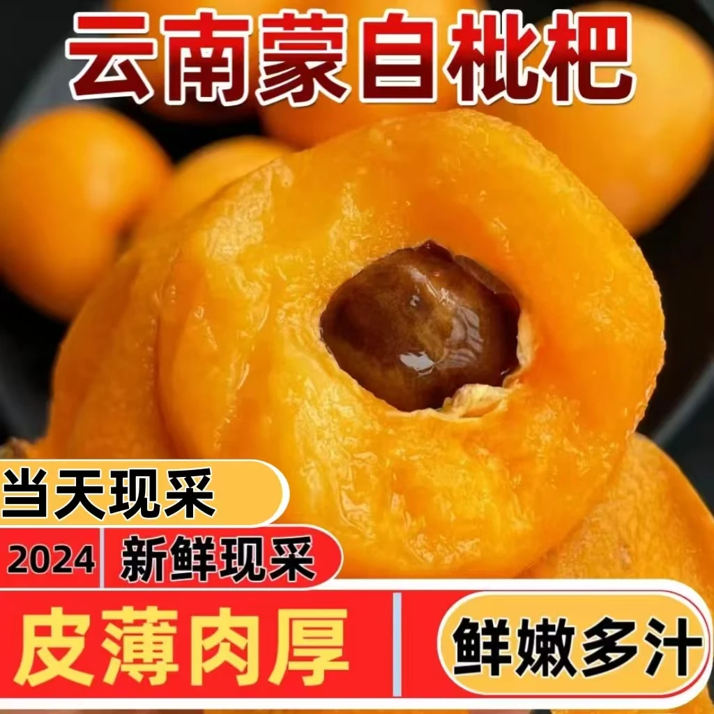 正宗云南蒙自枇杷新鲜采摘皮薄原生态成熟优质鲜嫩丰攀枝花米易