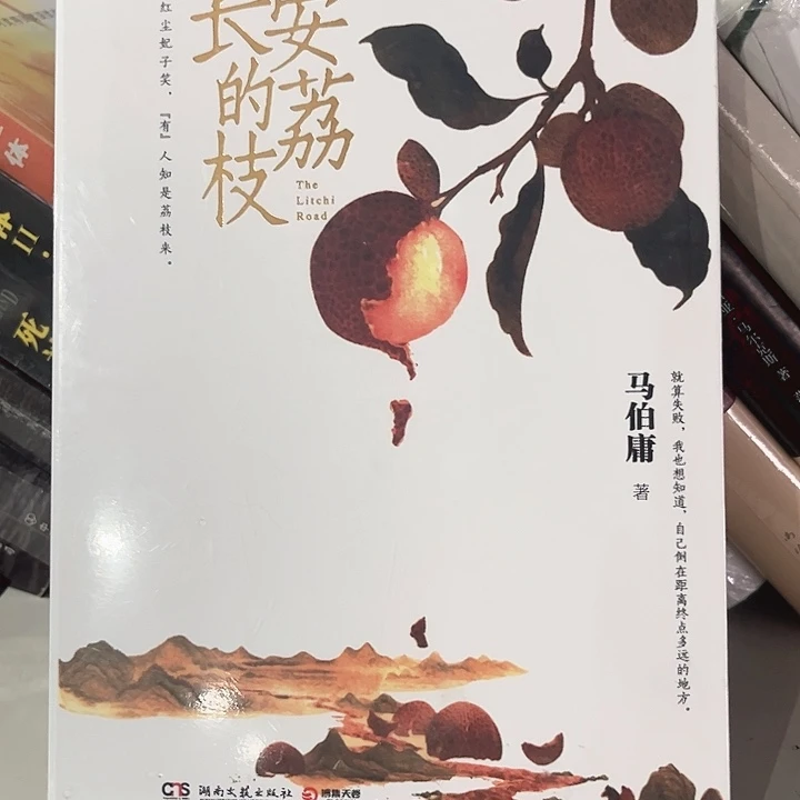 长安的荔枝全新推荐