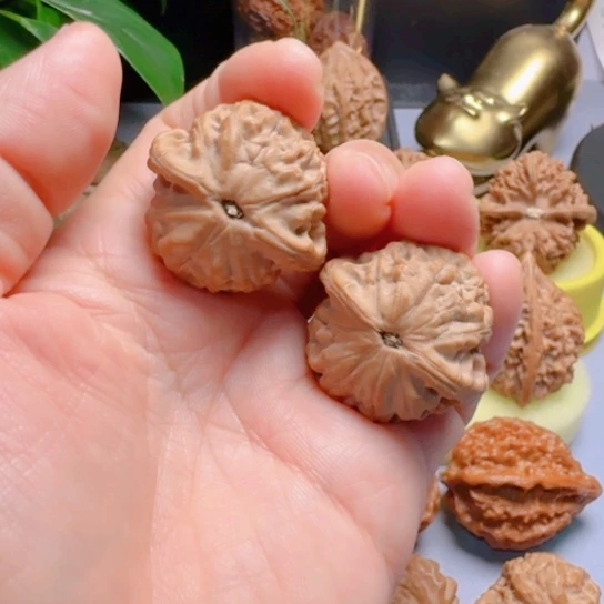 福利小金鱼文玩核桃