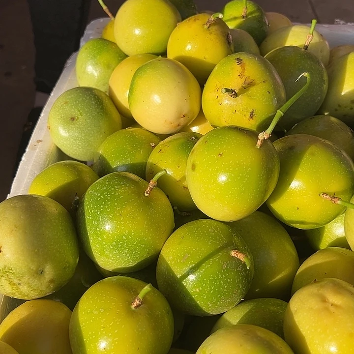 中国大陆百香果5斤