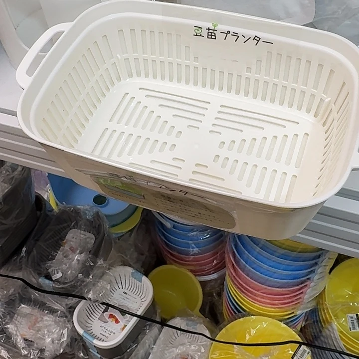 塑料这个时候我们