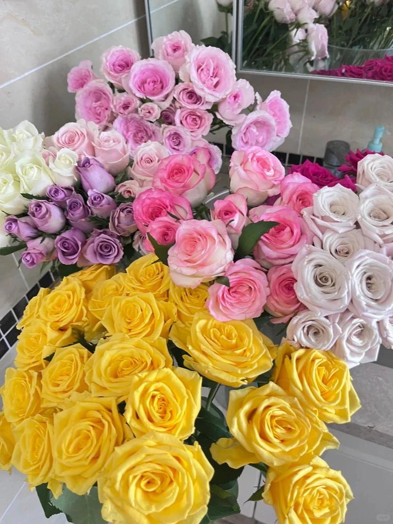 (曼）4扎大丽花  1单包邮