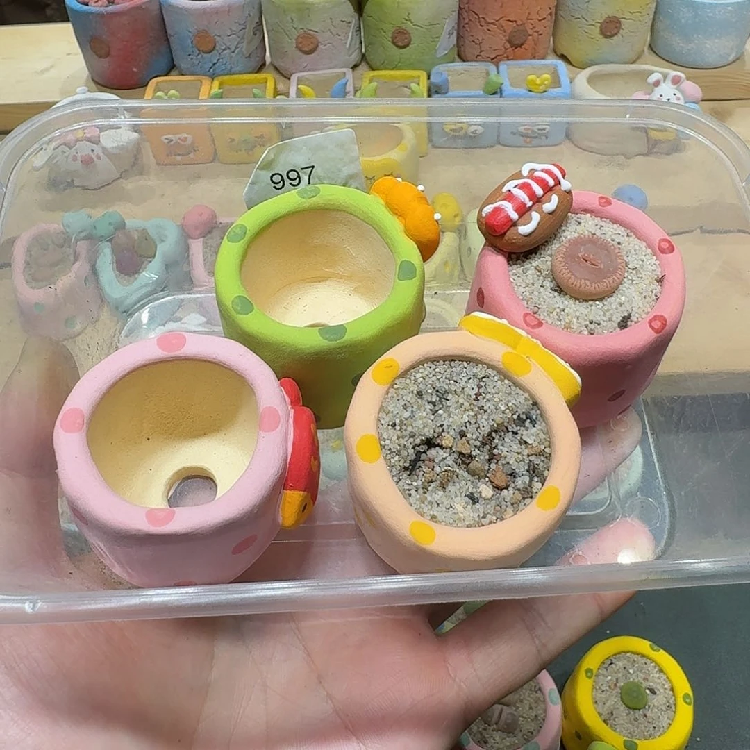 红陶蕾*蘑菇331花和花盆