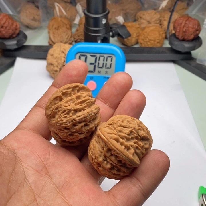 亓****育1111111111111