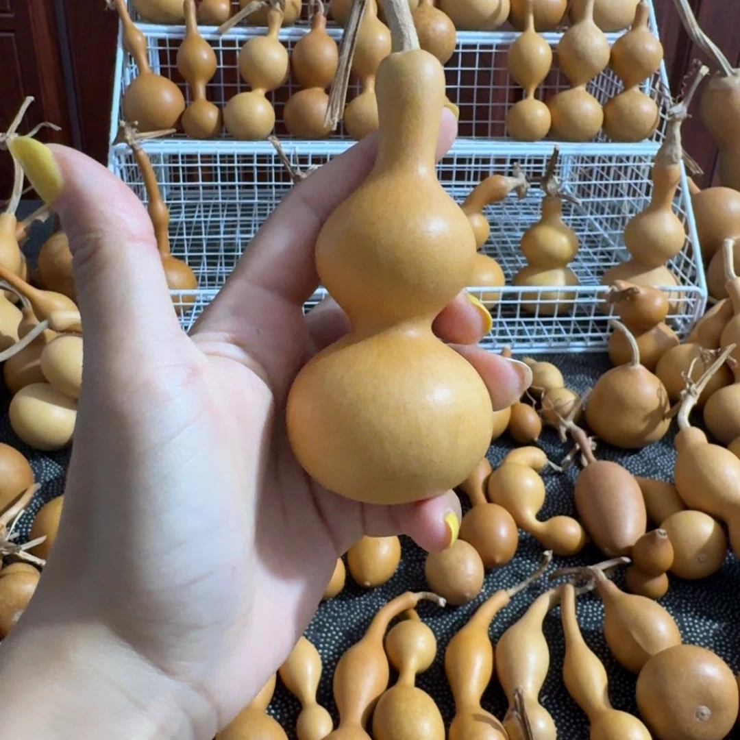 高***︶高上上专拍葫芦链接