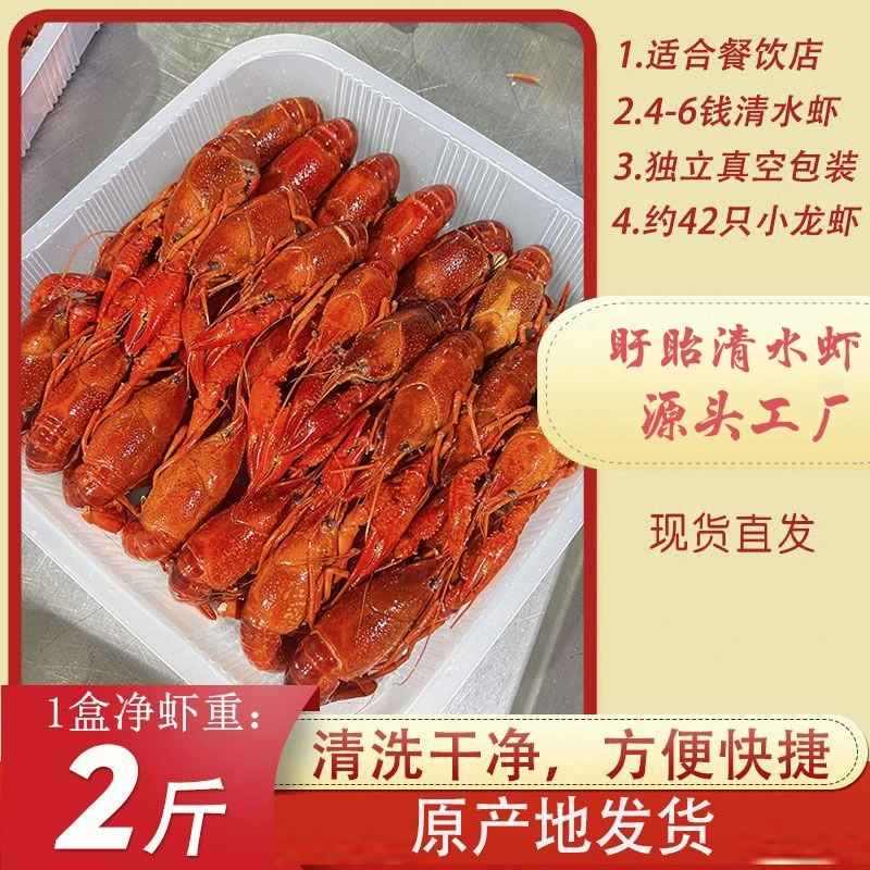 2024鲜活锁鲜速冻清水小龙虾冰冻活虾冻虾456钱小龙虾虾尾饭店