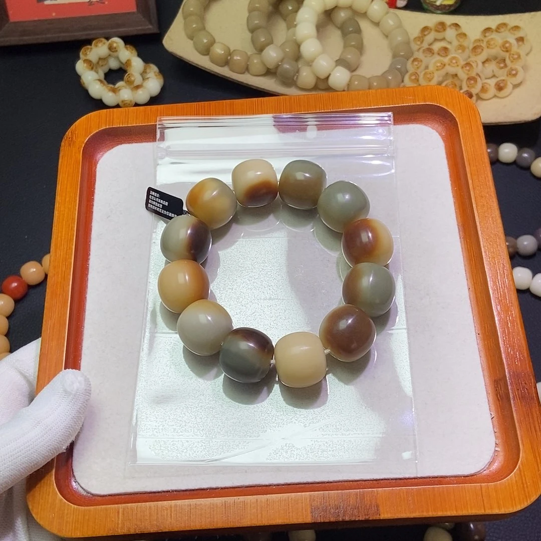 *****菩提根/象牙果吊坠卡20干磨微瑕