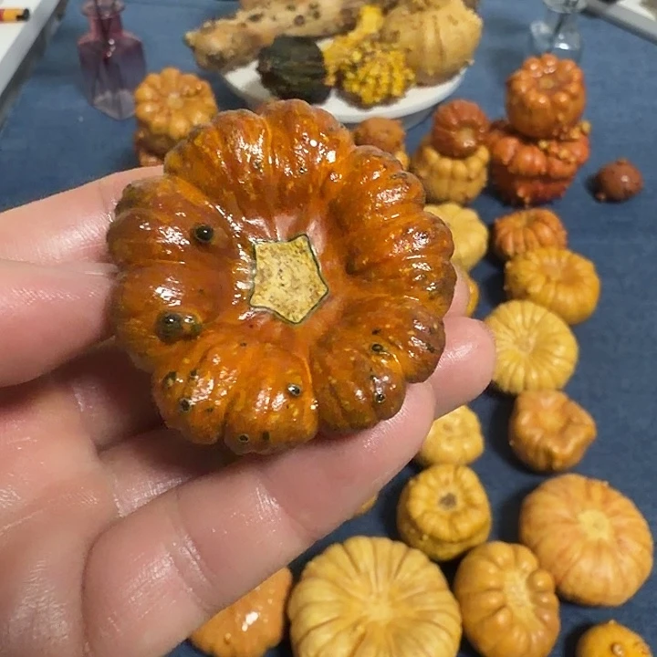 D***u墨西哥七彩疙瘩葫芦