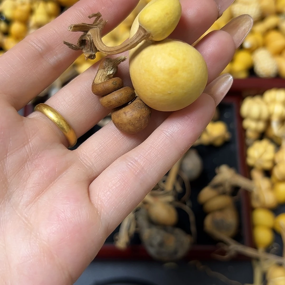 萬葫芦葫芦葫芦聚聚