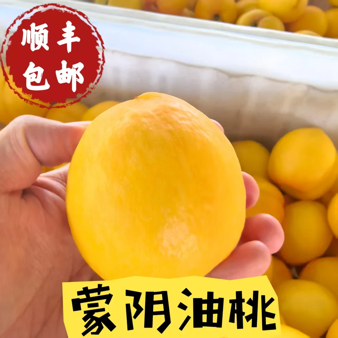 【顺丰包邮】山东现摘蒙阴黄金油桃产地直发皮薄肉厚当季新鲜水果