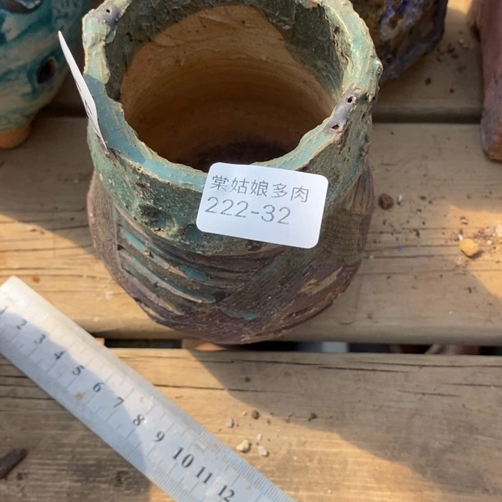 红陶彼*32号多肉的花盆