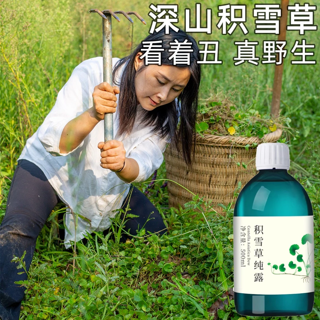 丸蔻野生积雪草纯露晒后补水保湿紧肌肤湿敷水500ML水润