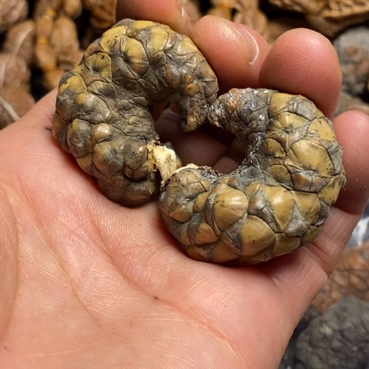 吊坠桃核娜姐真的133