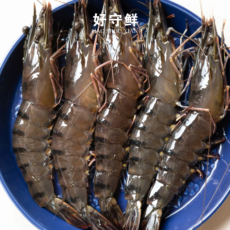 【本地黑虎虾】大每斤10~15条 3斤共30-45条 每只约18厘米九节虾