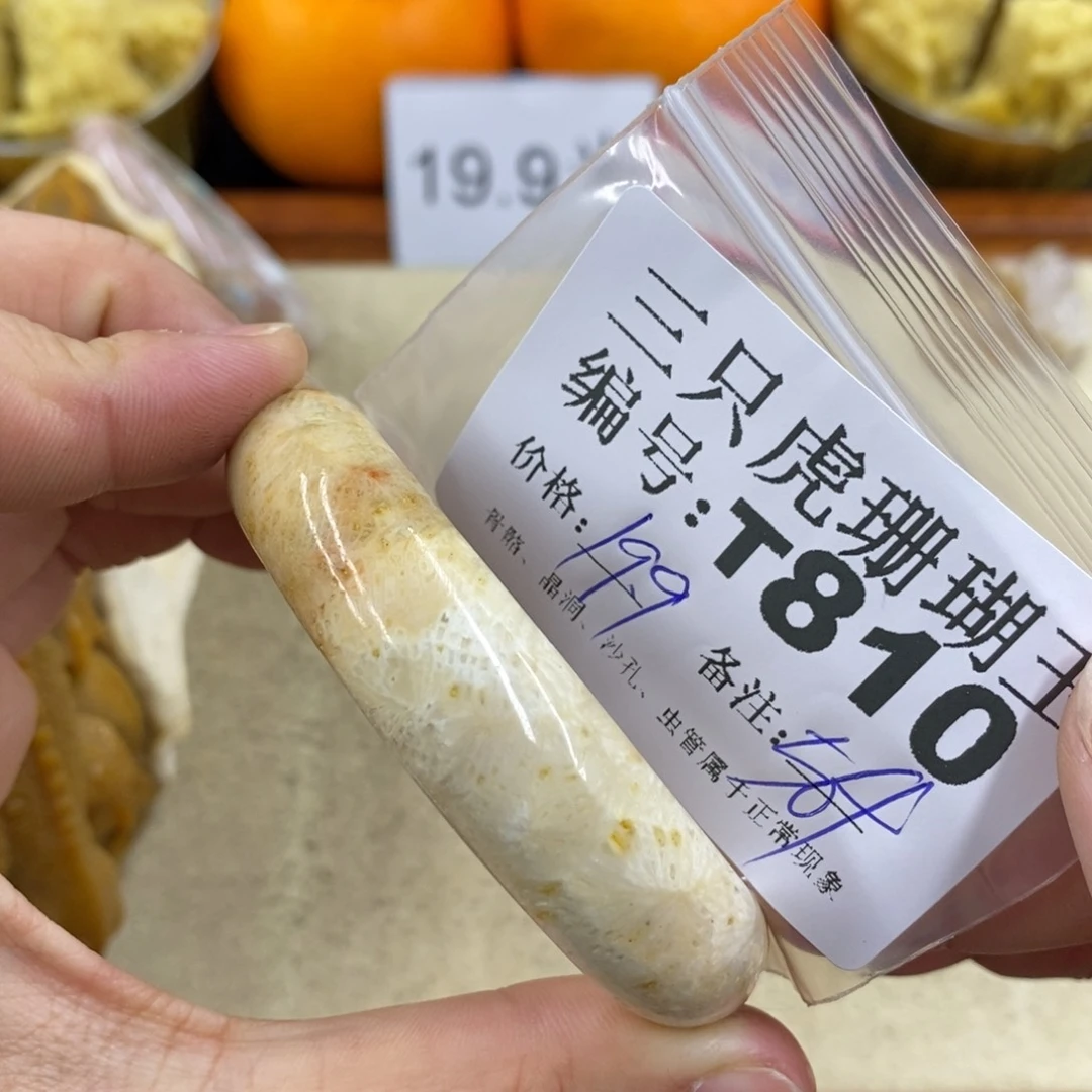 硅化珊瑚（珊瑚玉）1未镶嵌用****舞