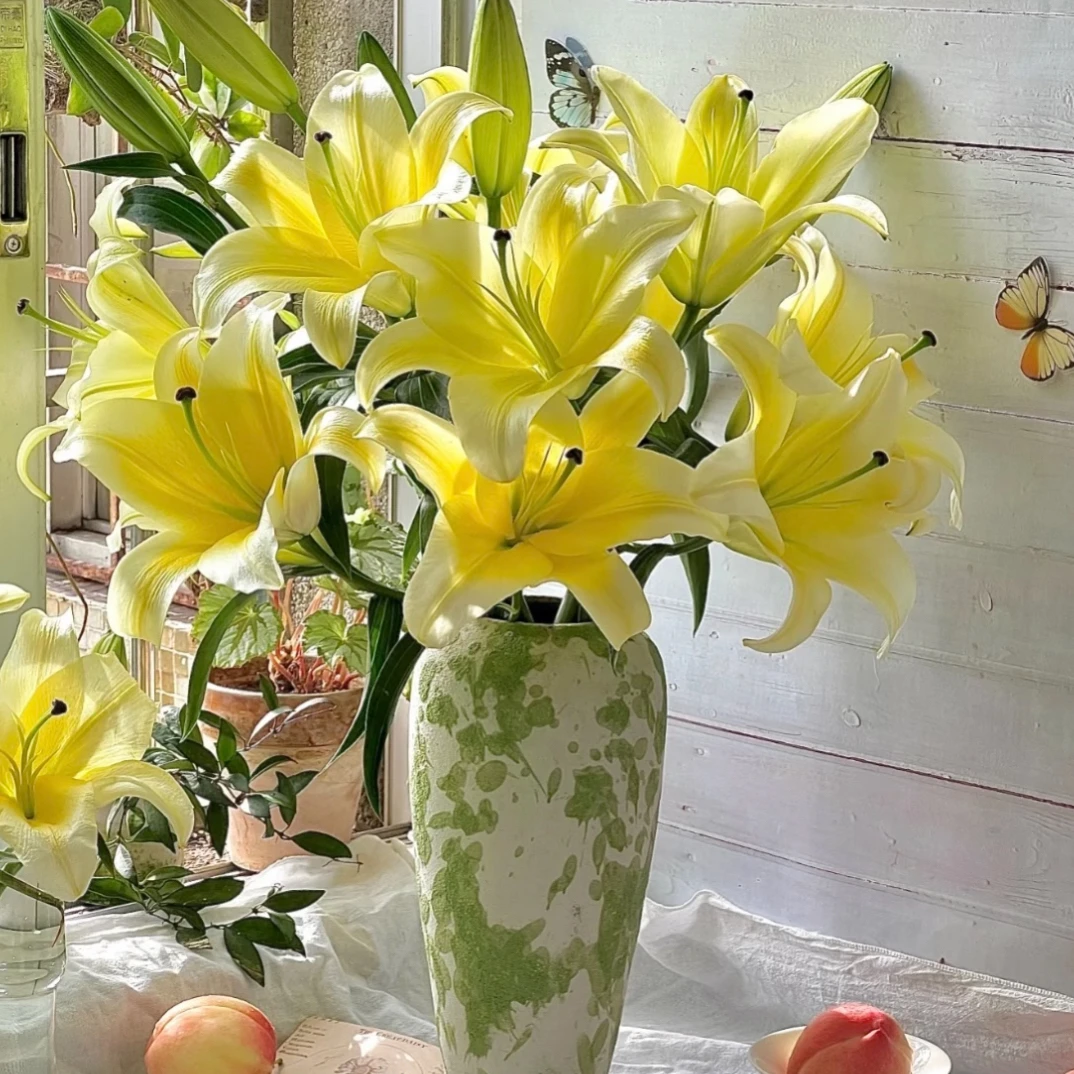 黄天霸浓香型黄色香水百合鲜花家庭水养基地直发任意两单花送配草