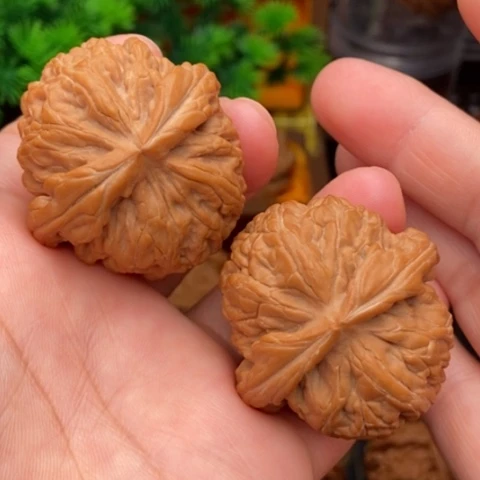 文玩核桃吊坠红锦鲤40全品